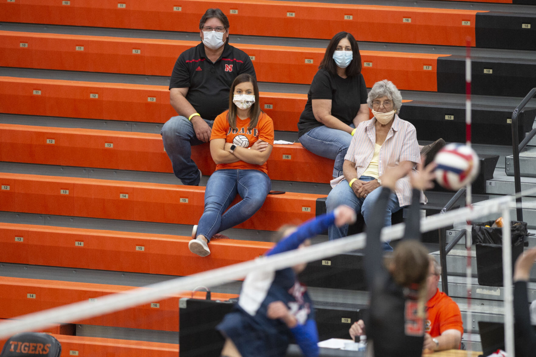 Doane Triangular, 9.5